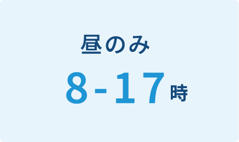 昼のみ